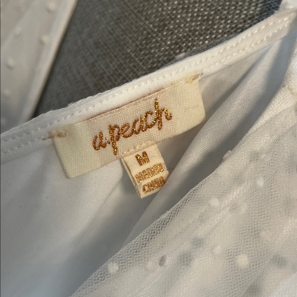 NWOT Elegant White Sheer Chiffon Deep V Puff Sleeve Top, Size M - Picture 9 of 11